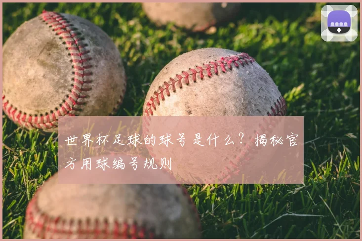 世界杯足球的球号是什么？揭秘官方用球编号规则