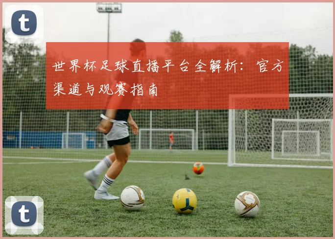 世界杯足球直播平台全解析：官方渠道与观赛指南