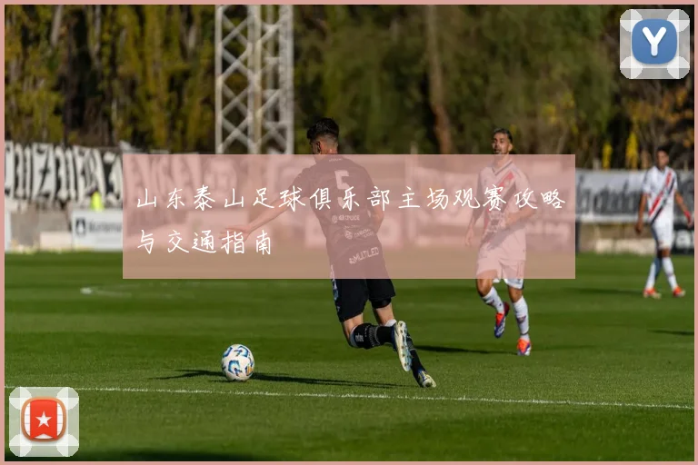 山东泰山足球俱乐部主场观赛攻略与交通指南