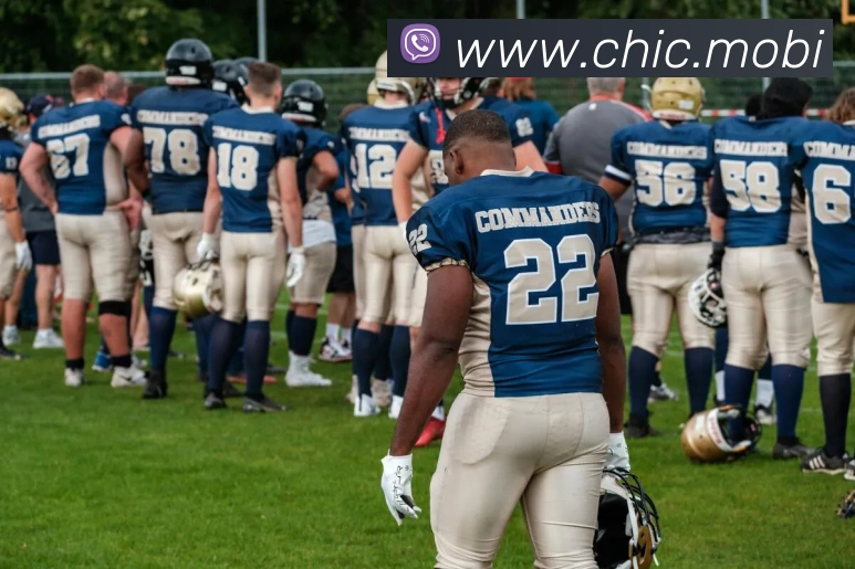 App Interface Preview