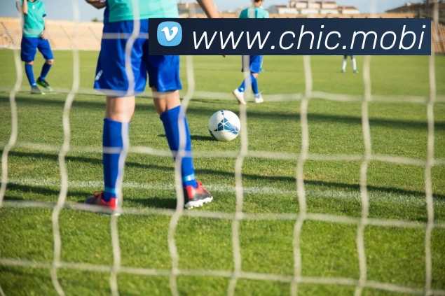 开云在线官方网站APP 封面图